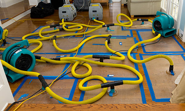 Professional Water Damage Restoration technician working in Gray, ME